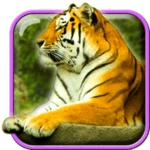 Logo of Tigers Live Wallpaper android Application 