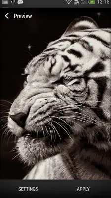 Tigers Live Wallpaper android App screenshot 0