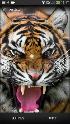 Tigers Live Wallpaper android App screenshot 3