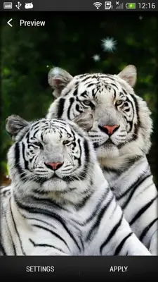 Tigers Live Wallpaper android App screenshot 4