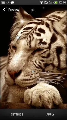 Tigers Live Wallpaper android App screenshot 5