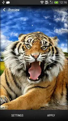 Tigers Live Wallpaper android App screenshot 6